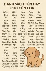 screenshot-chatgpt.com-2025.12.15-09_42_35.jpg screenshot-chatgpt.com-2025.12.15-09_42_35.jpg