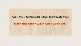 1766030350862.png 1766030350862.png