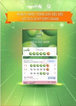 7115_viet.jpg 7115_viet.jpg